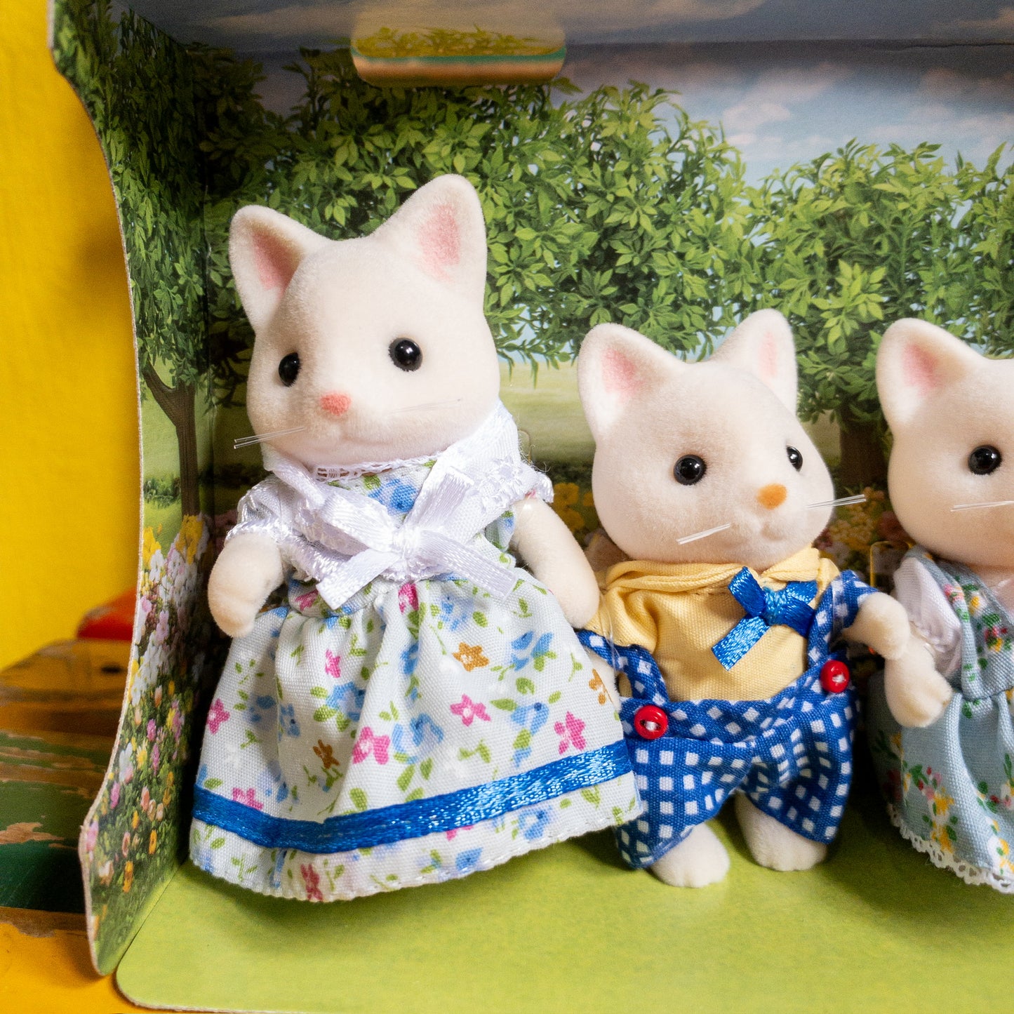 Gatos de Seda