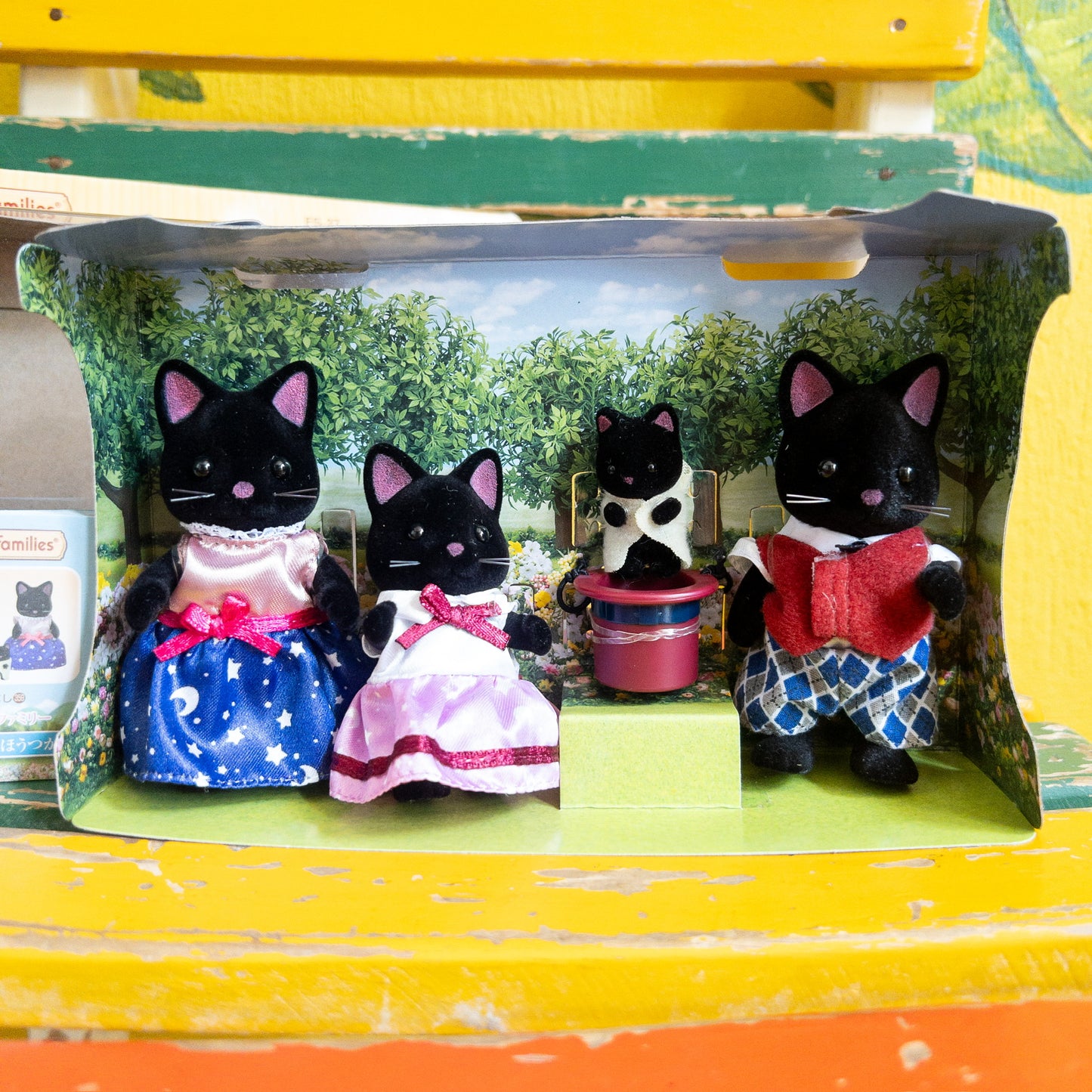 Gatos Midnight