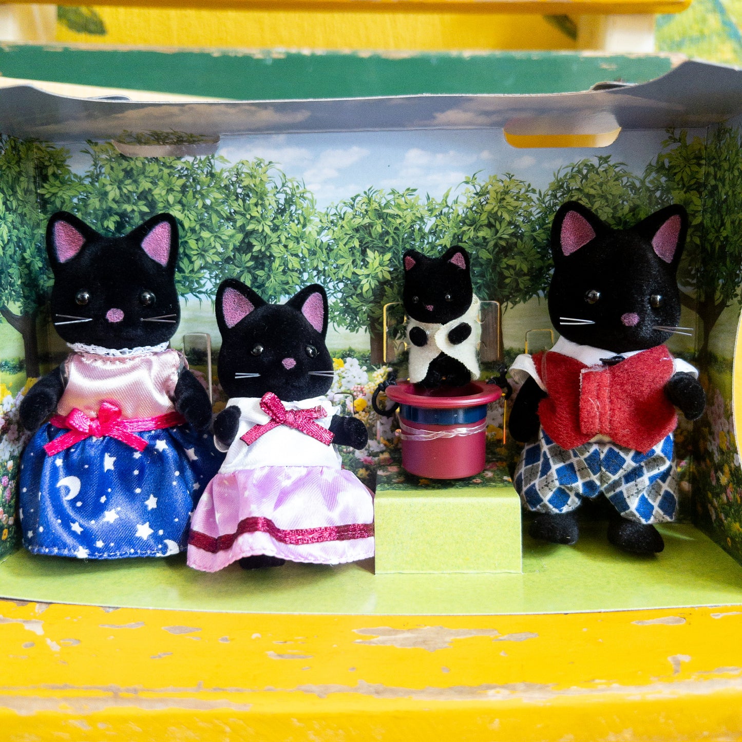 Familia de Gatos Midnight