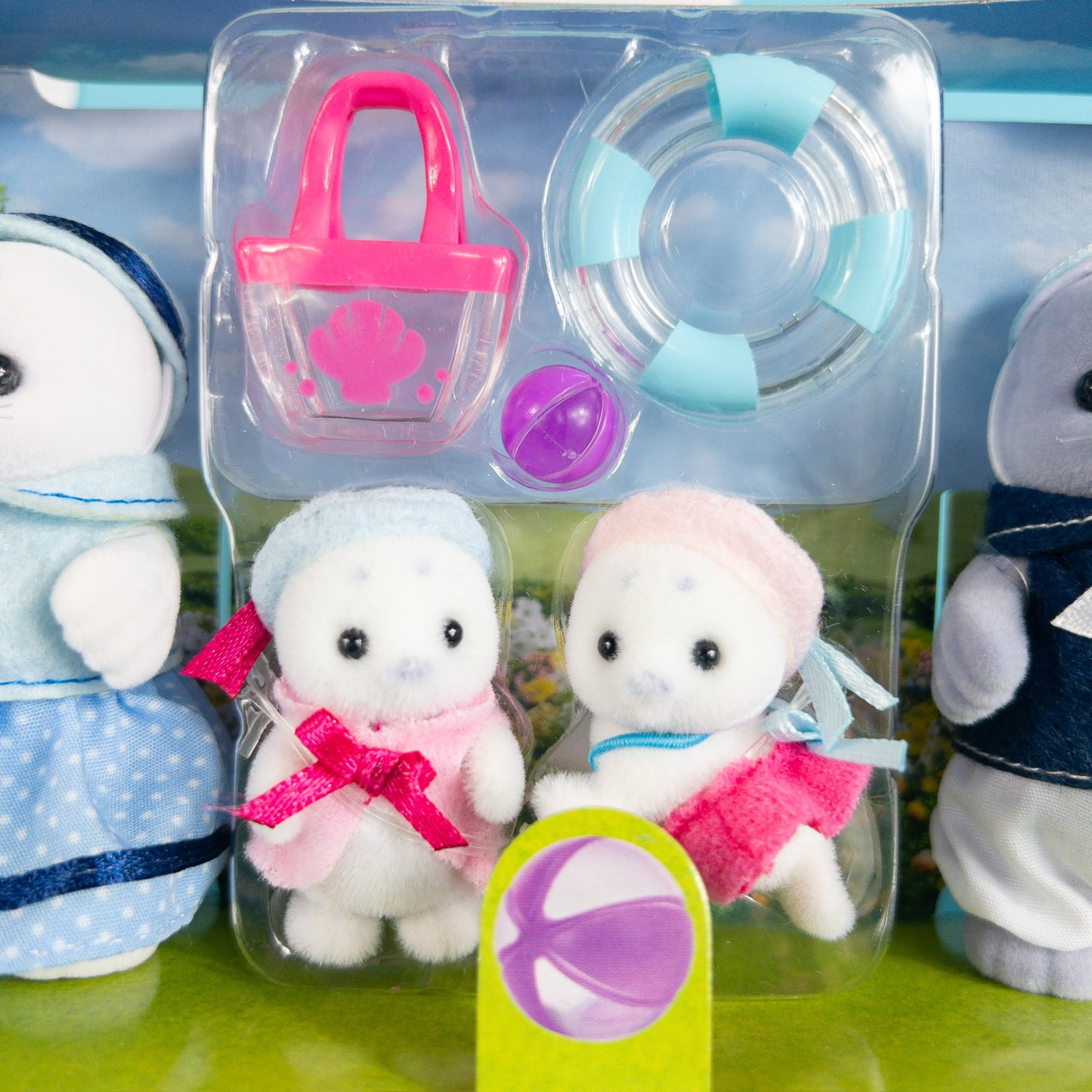Familia de Focas